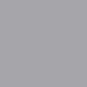 Fotografska pozadina Colorama - papir - Storm gray - 05