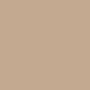 Fotografska pozadina Colorama - papir - Cappuccino - 52