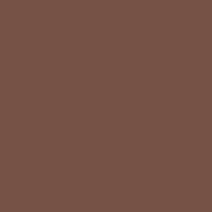 Fotografska pozadina Colorama - papir - Peat Brown - 80