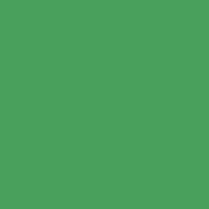 Fotografska pozadina Colorama - papir, 2,72x11m - Zelena Chromagreen - 33