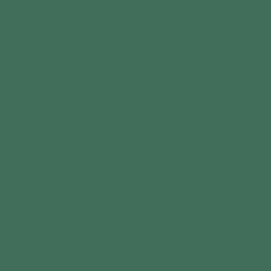 Fotografska pozadina Colorama - papir - Spruce Green - 37