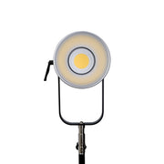 Nanlite Forza 720 LED Light