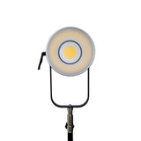 Nanlite Forza 720 LED Light